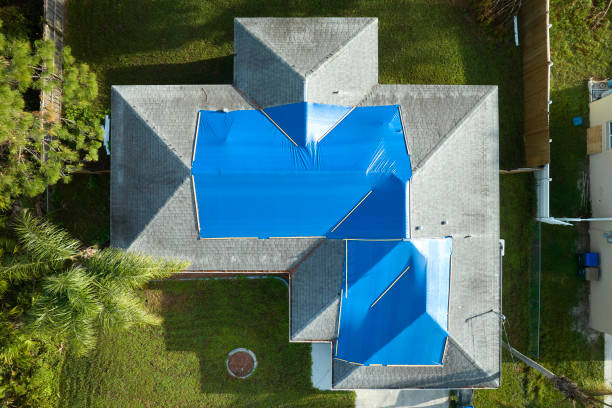 Best Metal Roofing Installation  in Scobey, MT